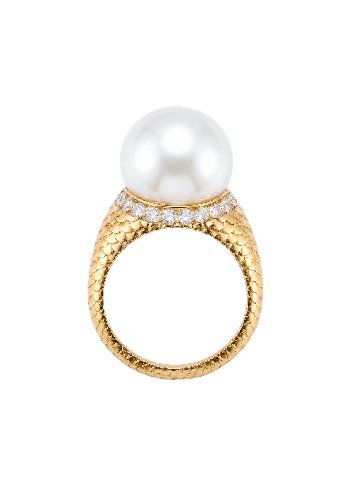 Alma Mater · Ring